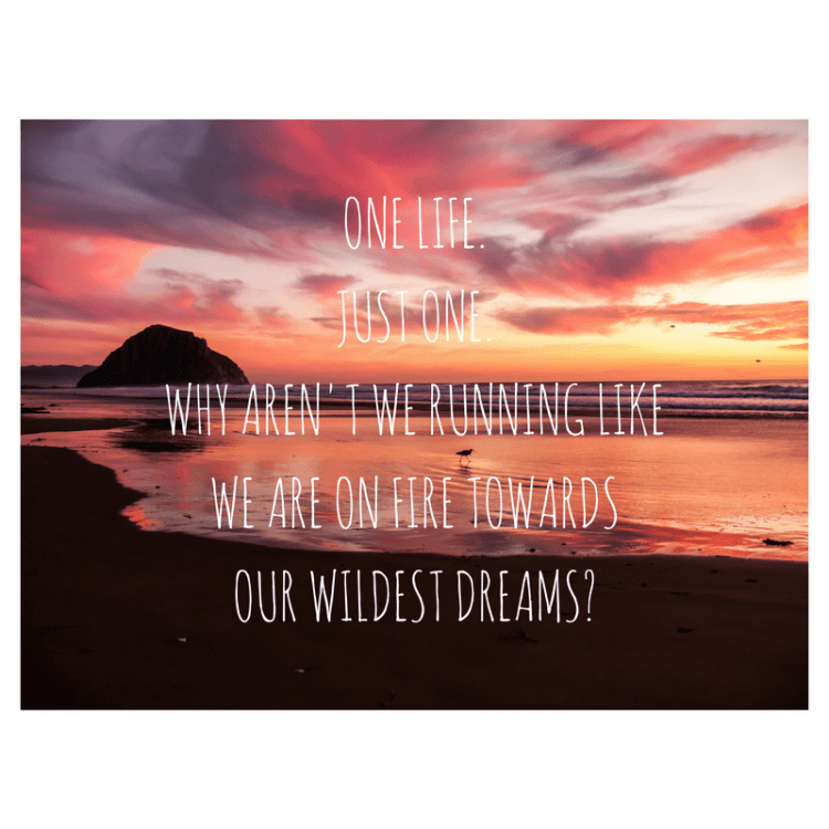 ONE LIFE.JUST ONE.WHY ARENT WE RUNNING LIKE WE ARE ON FIRE TOWARDSOUR WILDEST DREAMS?